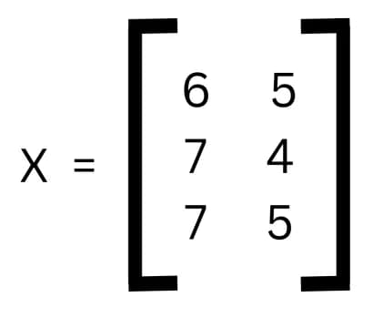 Matrix X with the Neural Network inputs.